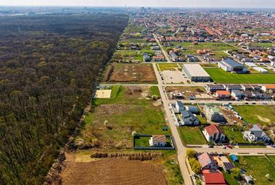 Teren Construcții intravilan de 1787 mp, în Dumbrăvița - 15