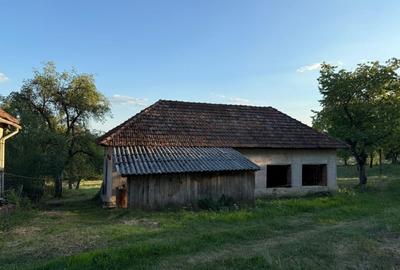 Proprietate la țară cu teren generos - 15