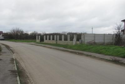 Cornetu - Crizantemelor, Stradal - 6