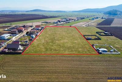 Spațiu comercial, în Bod - 3