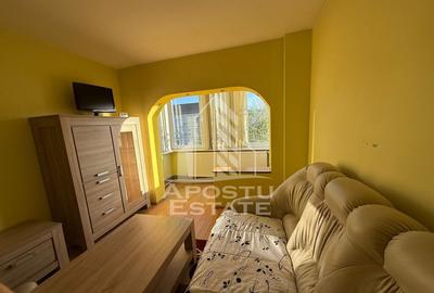 Apartament cu 4 camere ,zona Lipovei Pet friendly - 3