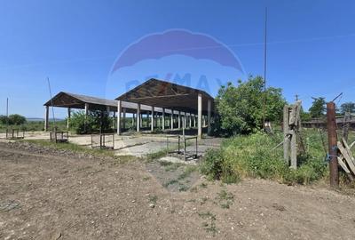 Ferma de vanzare  in Simeria - 4