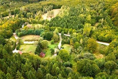 Refugiu montan,cu 2100 mp domeniu verde,arie ultra-liniara, potential extins, Vl - 1