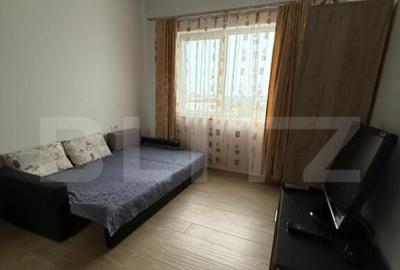 Apartament cu 2 camere semidecomandat în Calea Urseni - 8