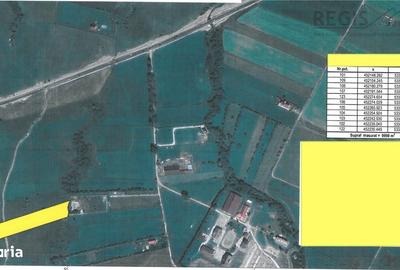 Spațiu comercial, în Pănicel - 2