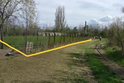 Teren de 1895 mp, în Belciug - 6