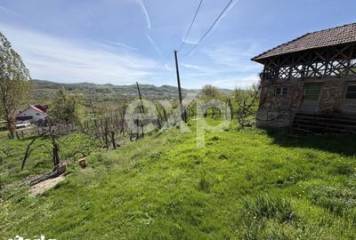 Teren de 14613 mp, în Tigveni - 4