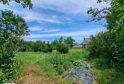 Spațiu comercial, în Valea Presnei - 6