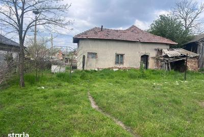 Casă cu 3 camere cu Teren 2504 Mp în Teasc - 6