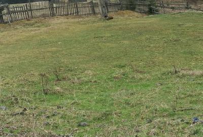 Spațiu comercial, în Cârlibaba - 6