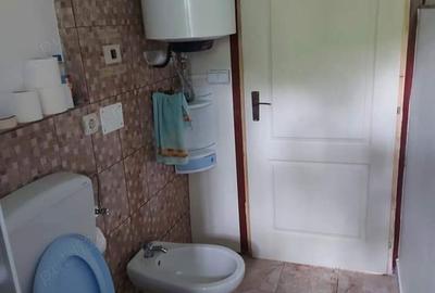 Casă în Ocolișu Mare - 1