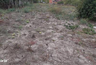 Spațiu comercial, în Covaci