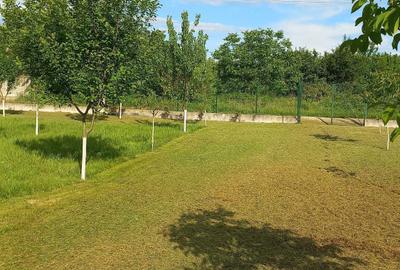 Spațiu comercial, în Batoți - 2