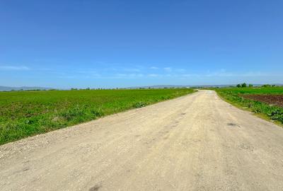 Teren intravilan, 1.7 hectare, Stupini Strada Barsei - 3