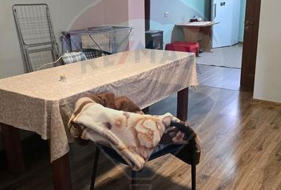 Casă cu 4 camere în Vale - 4