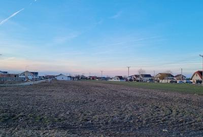 Teren Construcții intravilan de 529 mp, în Bucovăț (Remetea Mare) - 3