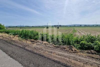 Teren pentru constructii industriale pe soseaua de centura - 1