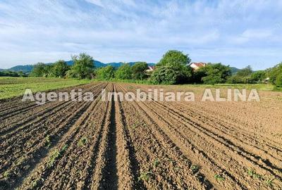 Teren de 4094 mp, în Șoimuș - 1