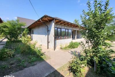 Casă cu 4 camere cu Teren 1233 Mp în Odaia Manolache - 9