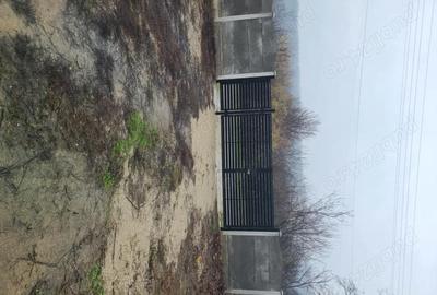 Casă cu Teren 7066 Mp în Dobroteasa - 7