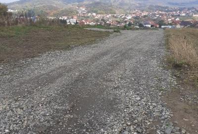 Teren intravilan cu toate utilitatille S=11600 - 5