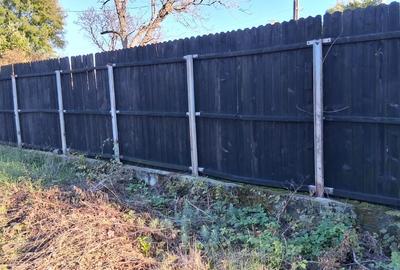 Ciolpani, sat Izvorani - 2