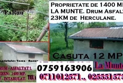 Casă cu 1 camere în Macoviște (Cornea) - 3