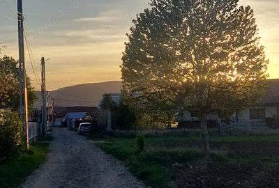 Teren în Târgu Trotuș - 10