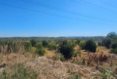 Teren intravilan 14.168 mp – pozitie excelenta la intrarea in Braila - 4