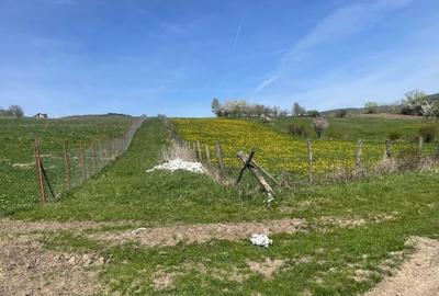 Teren Construcții intravilan de 2300 mp, în Feleacu - 1