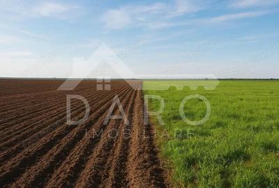 Vanzare de teren agricol in localitatea Voivodeni. - 1