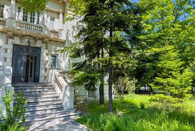 Casa Kiseleff | 15 camere | Arcul de Triumf - 6