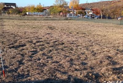 Teren intravilan 725mp deal - munte - 4