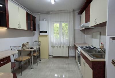 Apartament cu 4 camere decomandat, mobilat în Torontalului - 2