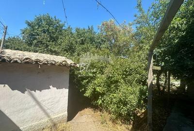 Oportunitate afacere sau casa de locuit situata in Techirgiol - 17