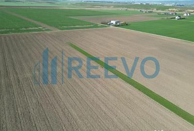 Teren de 10500 mp, în Nicolae Bălcescu - 6