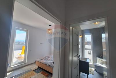 Apartament cu 2 camere, mobilat în Turnișor - 9