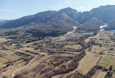 Teren Construcții intravilan de 4043 mp, în Predeluț - 14