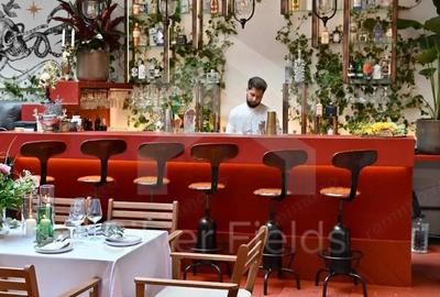 Se vinde Bar-Restaurant la cheie | Piata Unirii - 19