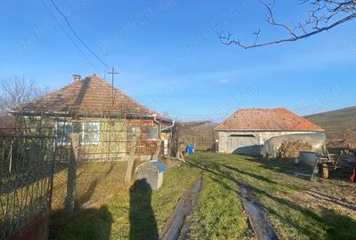 Vand casa si teren - 3