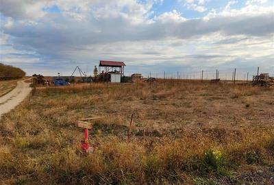 Vidra ,teren intravilan - 4