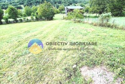 TEREN intravilan comuna TARCAU - STRAJA - 2