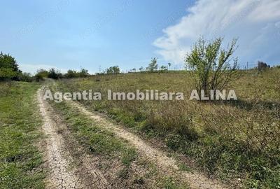 Teren de 1440 mp, în Titu Maiorescu - 2