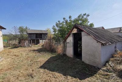 Vand teren cu casa intavilan Curtisoara jud Olt - 4