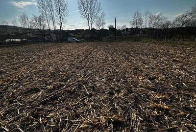 Spațiu comercial, în Corușu - 5