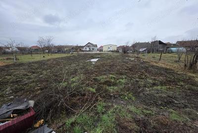 Casă cu 2 camere cu Teren 732 Mp în Tormac - 12