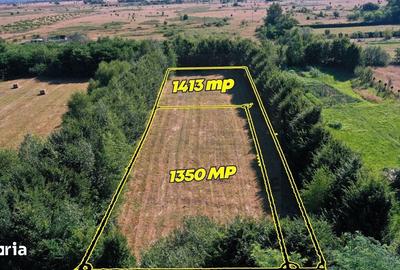Teren de 2763 mp, în Porumbacu de Jos - 3