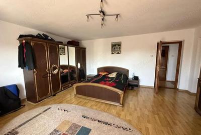 Vanzare proprietate impunatoare, strada Bujorului - cartier Primaverii - 9