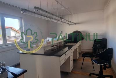 Apartament la casă, P+E – curte comună doar 2 proprietari - 7