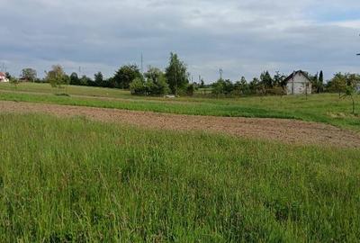 Teren de 4000 mp, în Satu Nou de Sus - 1